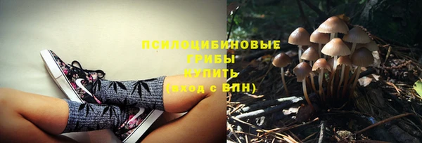 кокаин Бородино