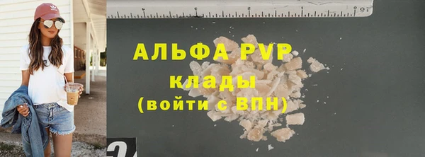 прущие грибы Богданович