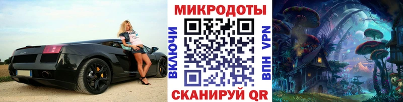 где купить   Кондопога  Псилоцибиновые грибы Psilocybe 