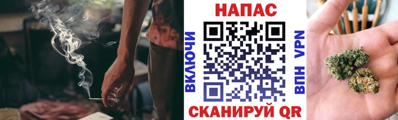 купить  сайты  Кондопога  Канабис индика 